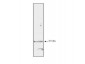 Anti-p21/WAF1 (MOUSE) Monoclonal Antibody